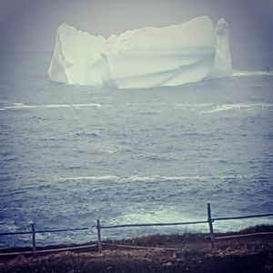 Meet your Posher, Dianne